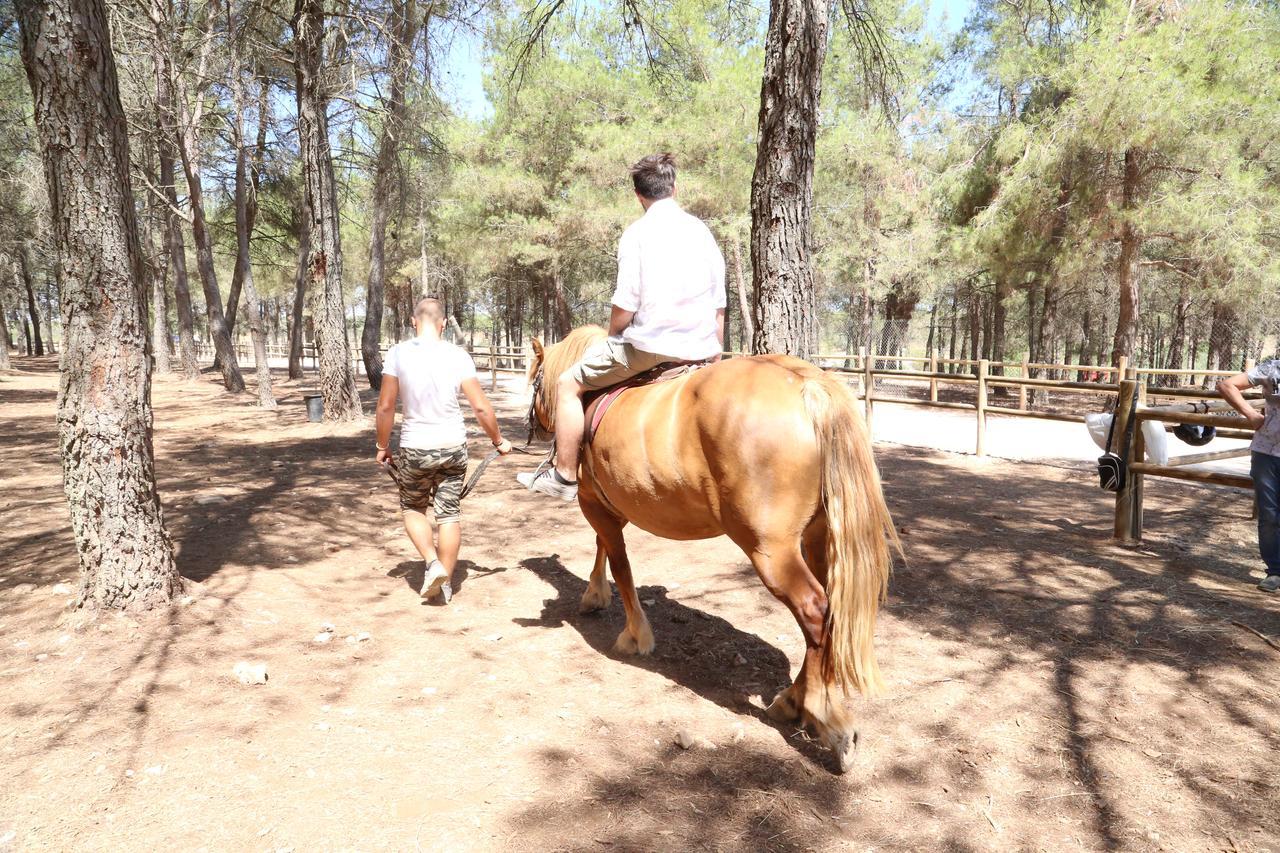 Masseria Chinunno 2号*Altamura